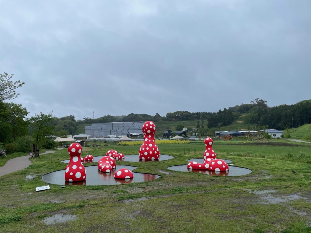 雨の日のクルックフィールズ