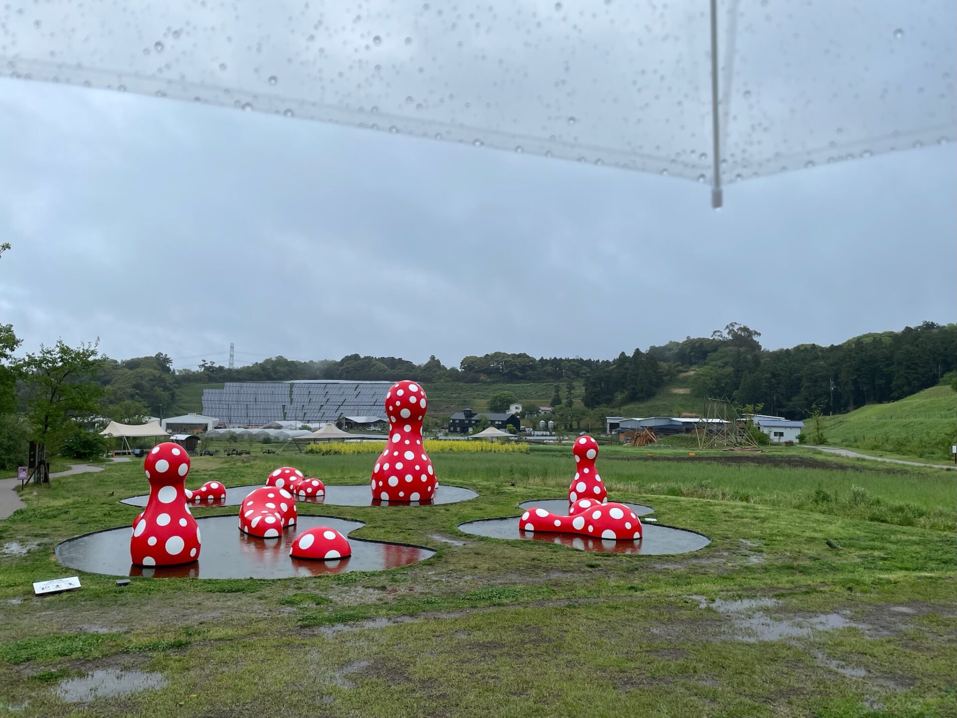 雨の日のクルックフィールズ